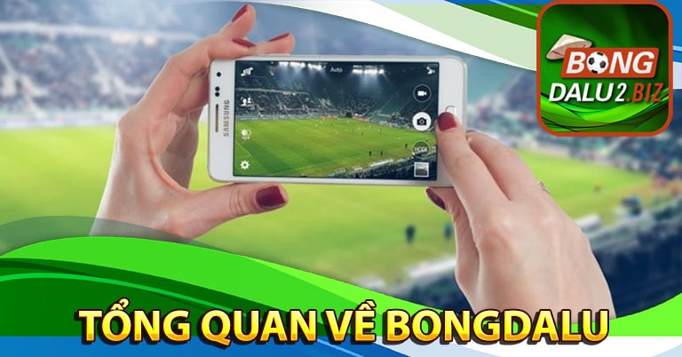 Tổng quan về Bongdalu kênh thể thao trực tuyến