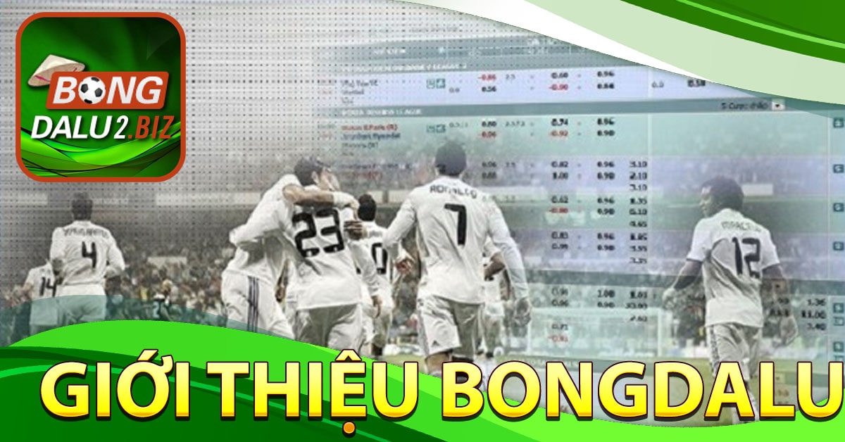 Giới thiệu Bongdalu những ưu điểm nổi bật