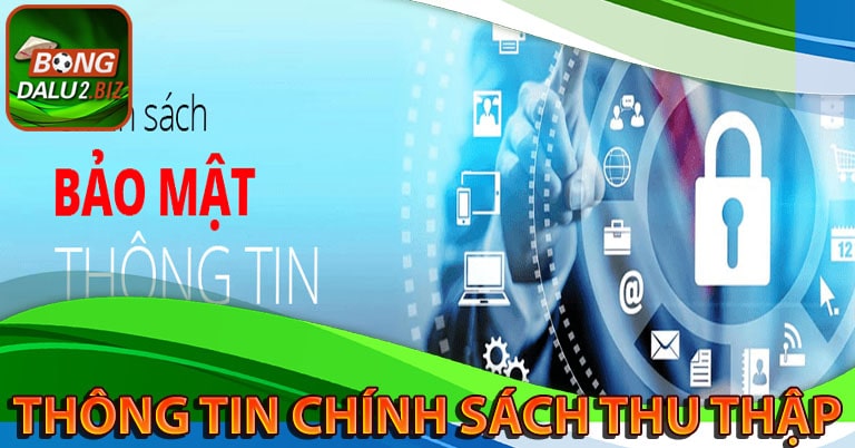Thông tin mà chính sách bảo mật thu thập từ người dùng