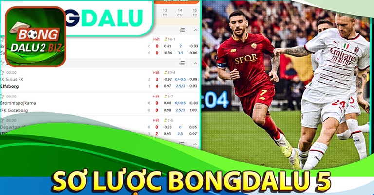 Tổn g quan chung về trang chủ Bongdalu 5