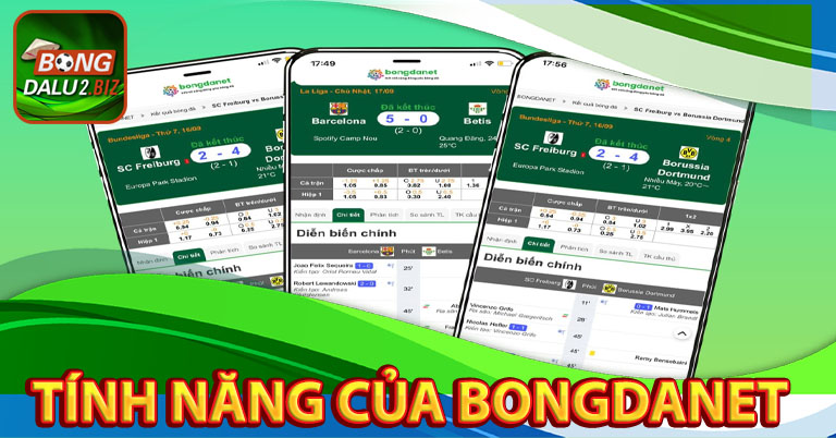 Các tính năng chính thức của bongdanet