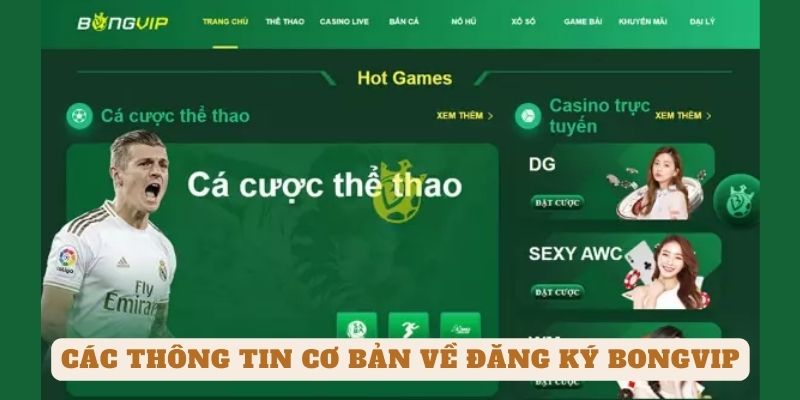 Các thông tin cơ bản về đăng ký BONGVIP